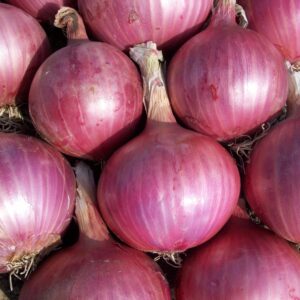 Cebollas rojas a granel