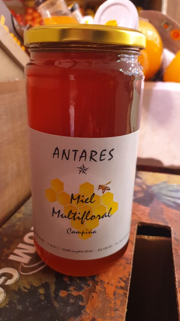 Miel multifloral de la campiña de Antares