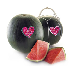 Sandia Fashion cortada