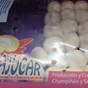 Champiñón